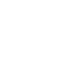 Sea Lion Sailing